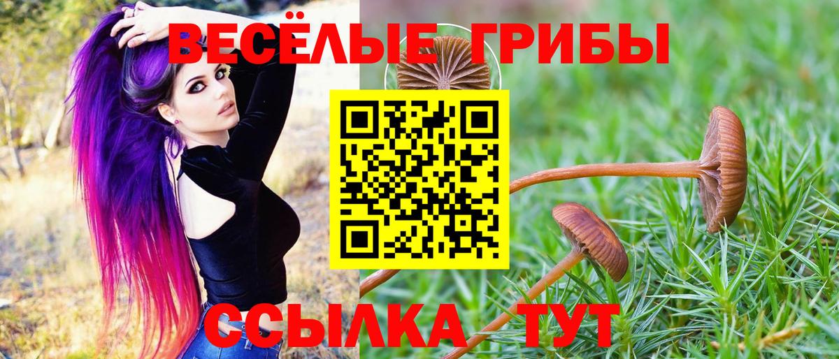 Псилоцибиновые грибы мухоморы  Галлюциногенные грибы GOLDEN TEACHER  Краснознаменск  Вход с VPN 