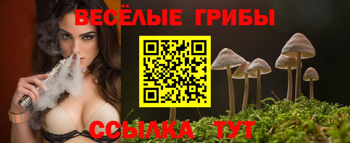 Псилоцибиновые грибы ЛСД Краснознаменск
